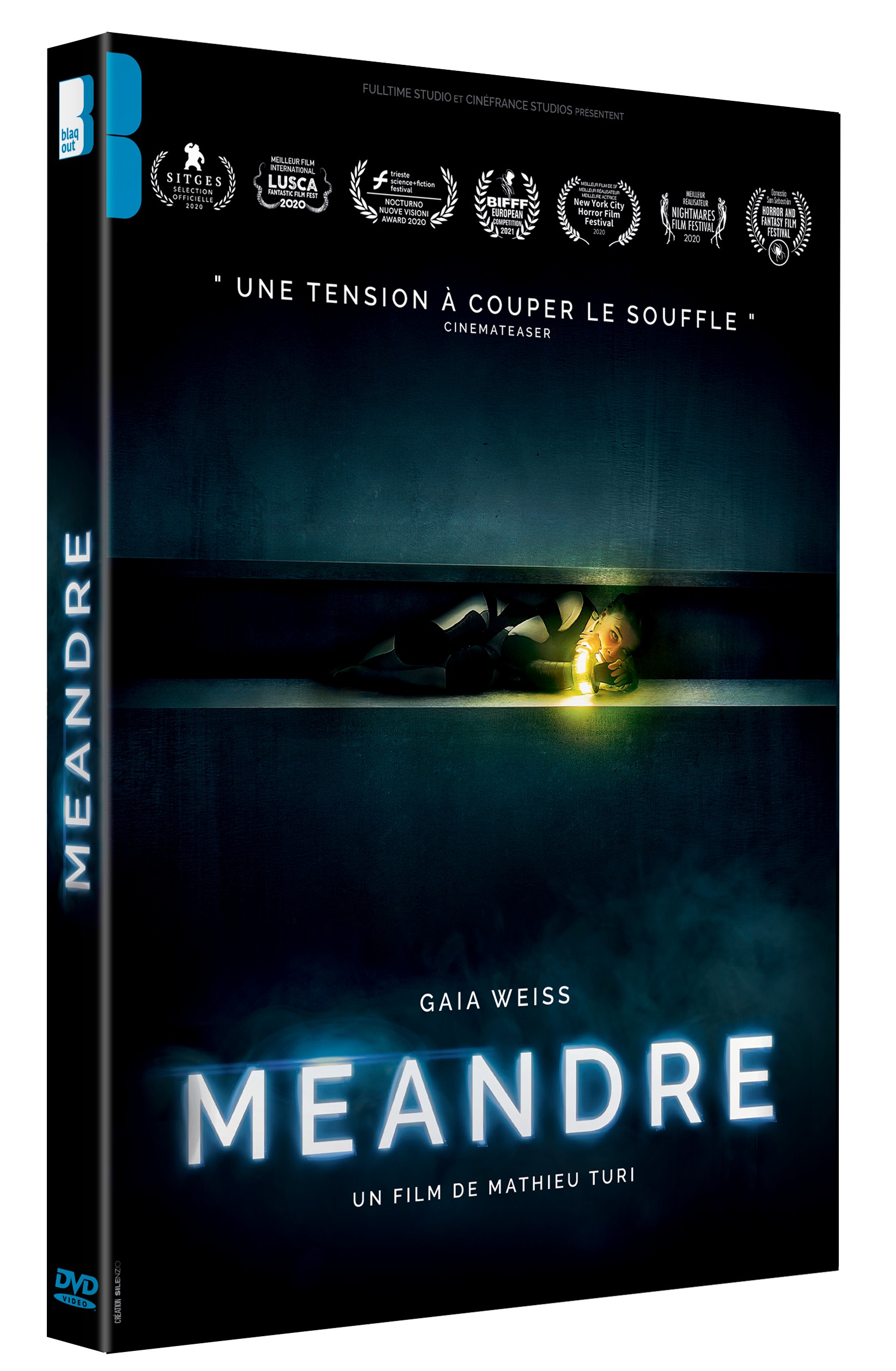 MEANDRE