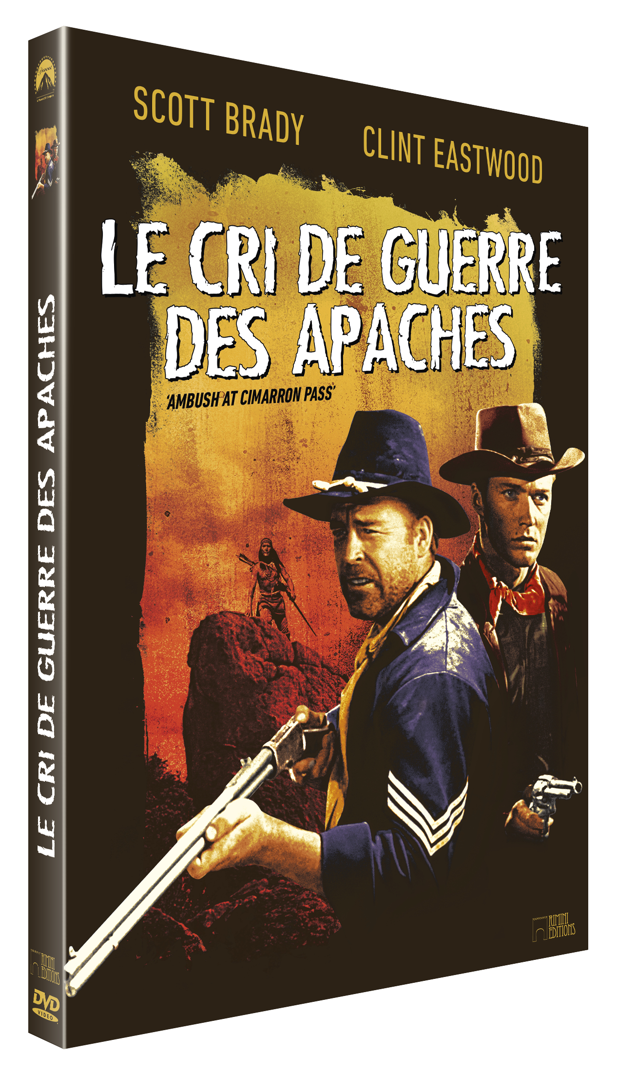 CRI DE GUERRE DES APACHES (LE) - DVD