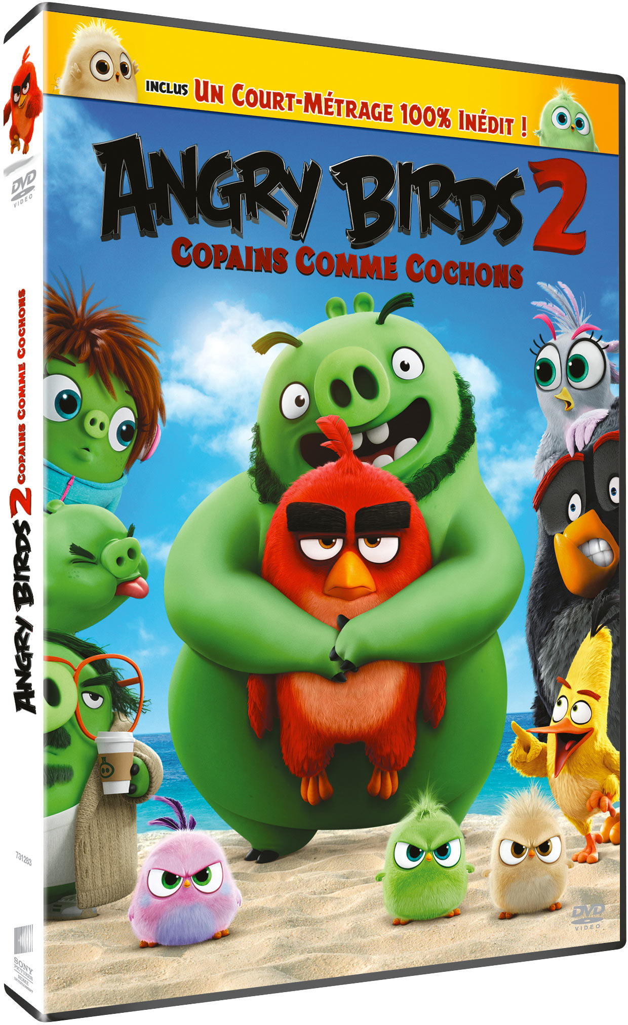 ANGRY BIRDS 2 : COPAINS COMME COCHONS - DVD
