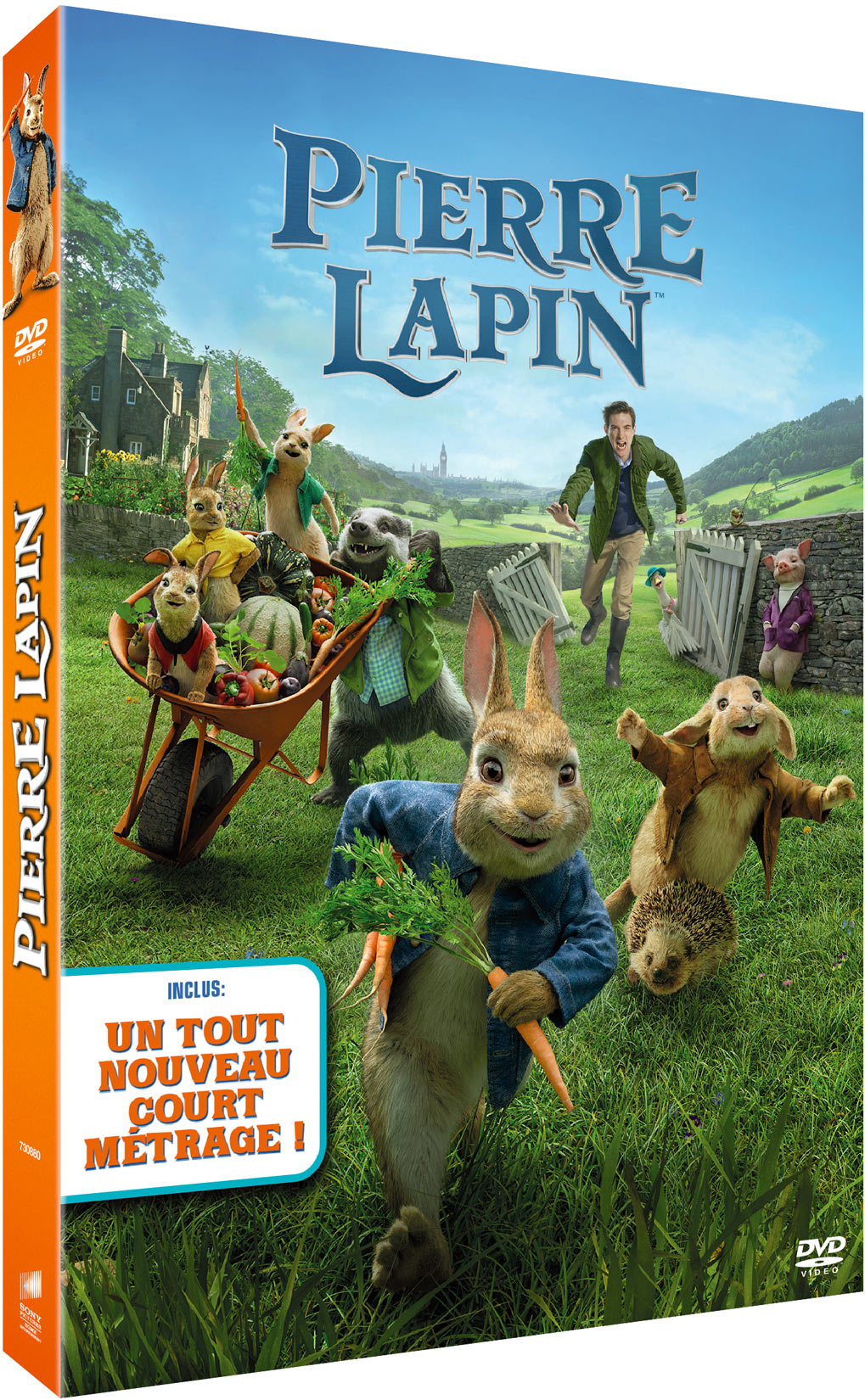 PIERRE LAPIN - DVD