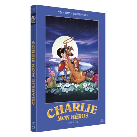 CHARLIE MON HEROS - COMBO DVD + BD