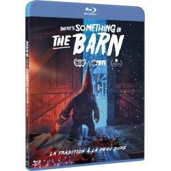 THERE'S SOMETHING IN THE BARN - DVD