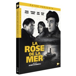 ROSE DE LA MER (LA) - COMBO DVD + BD - EDITION LIMITEE