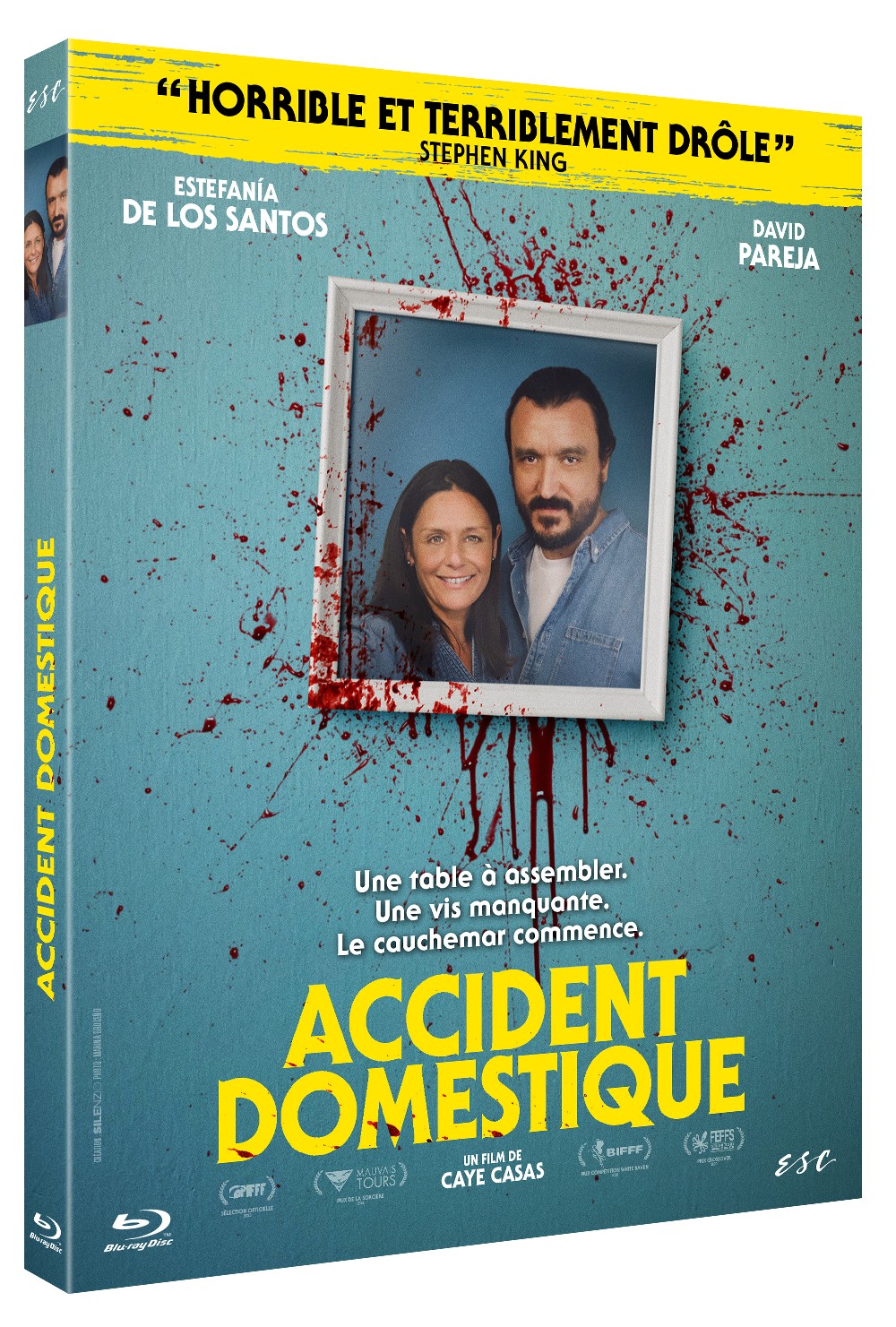 ACCIDENT DOMESTIQUE - BD