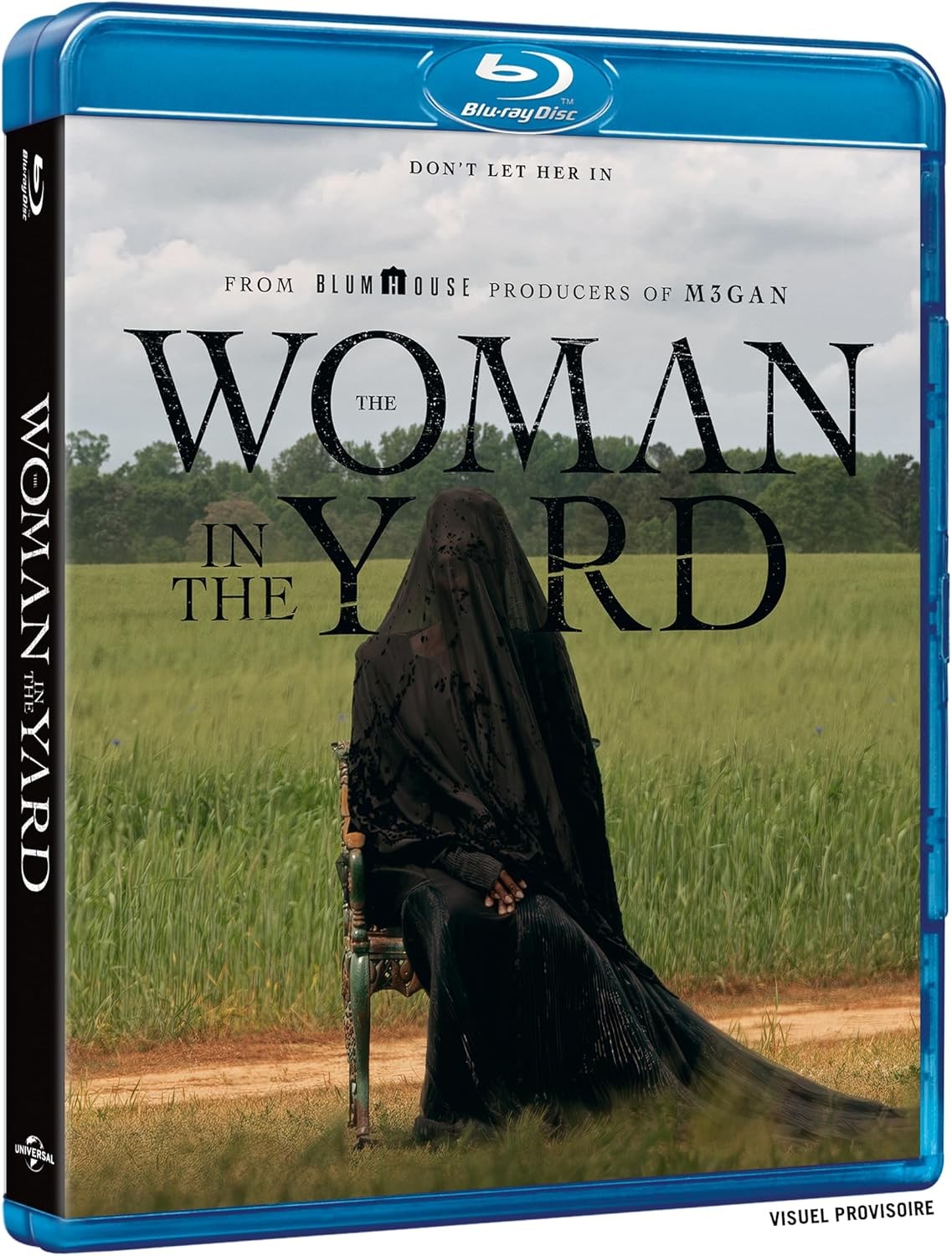 THE WOMAN IN THE YARD - BD