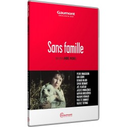 SANS FAMILLE - DVD