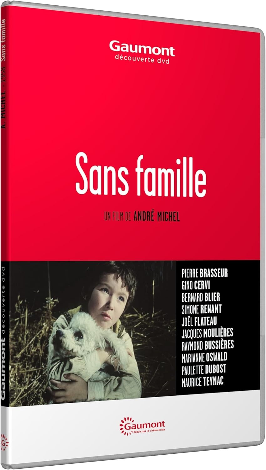SANS FAMILLE - DVD