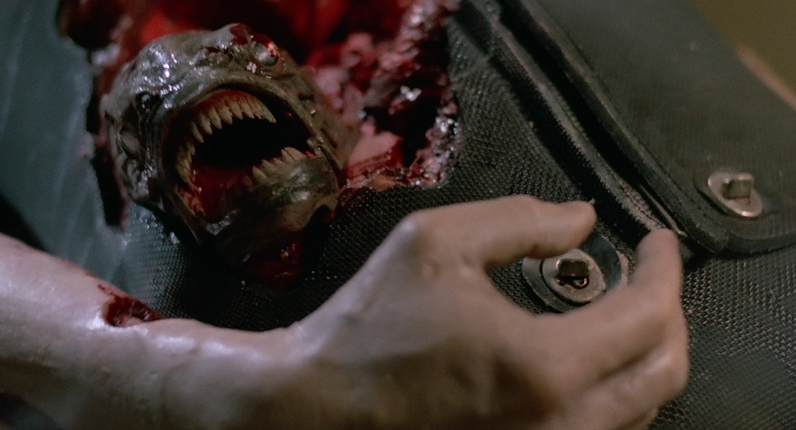 PIRANHA 2 : LES TUEURS VOLANTS - COMBO DVD + BD + LIVRET 32 PAGES + AFFICHE - ÉDITION LIMITÉE