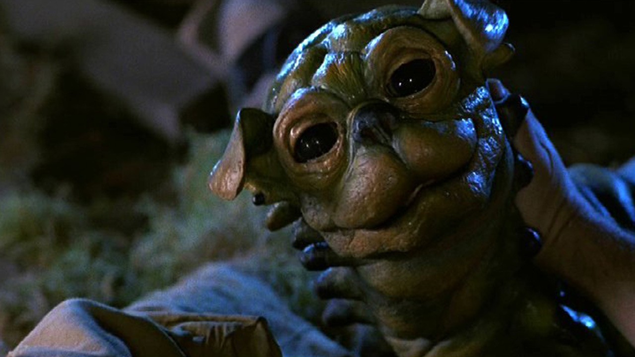 PACK HANTÉ: COLLECTOR "HOUSE 1 & 2" + 2 ESC VIDEO CLUB 37 "HOUSE" + 38 "HOUSE 2"