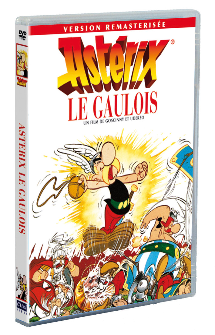 ASTERIX : LE GAULOIS - 1 DVD