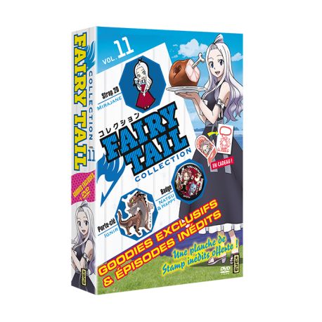 FAIRY TAIL COLLECTION VOL.11 - COFFRET 1 DVD