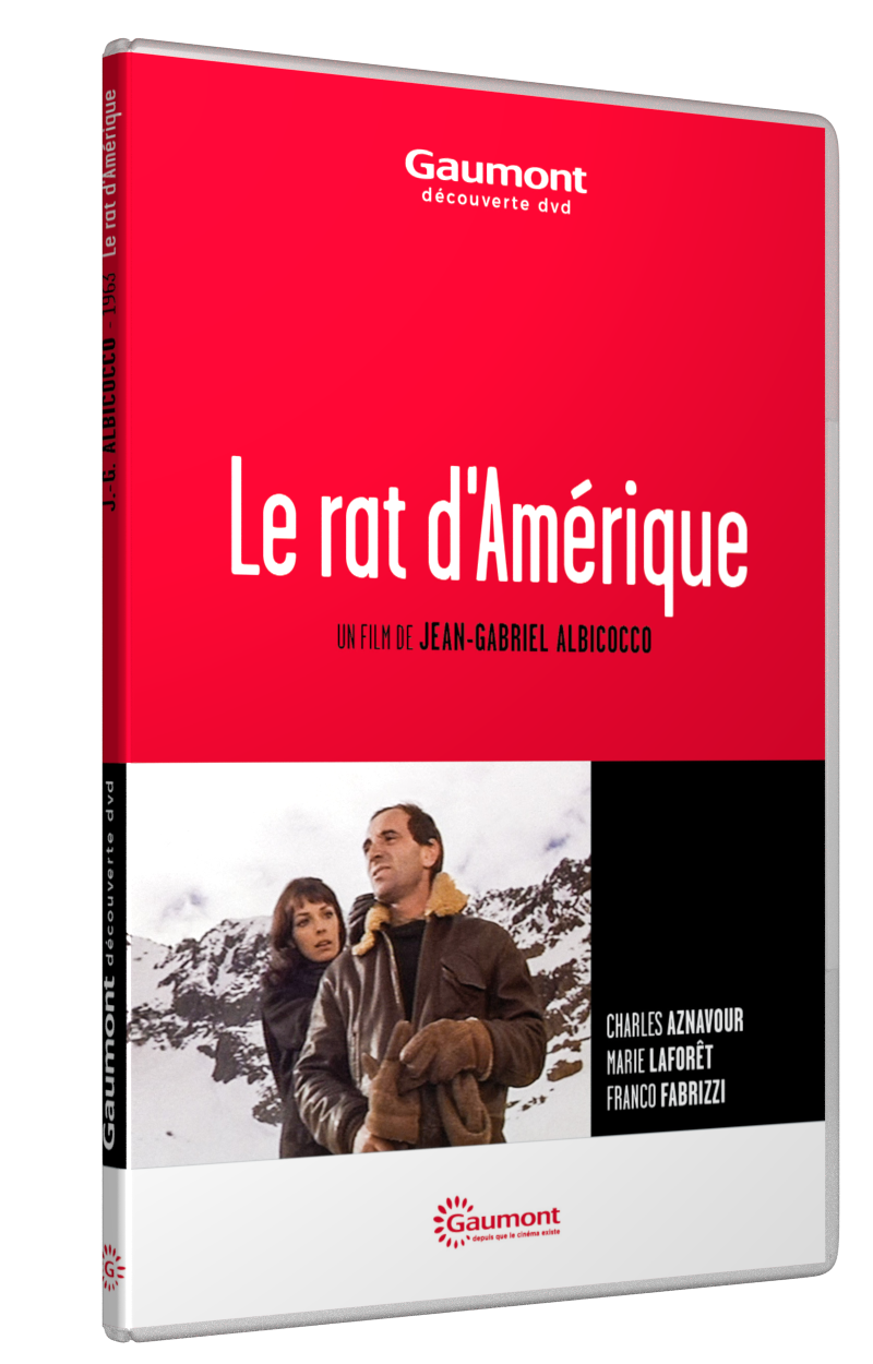 RAT D'AMÉRIQUE (LE)