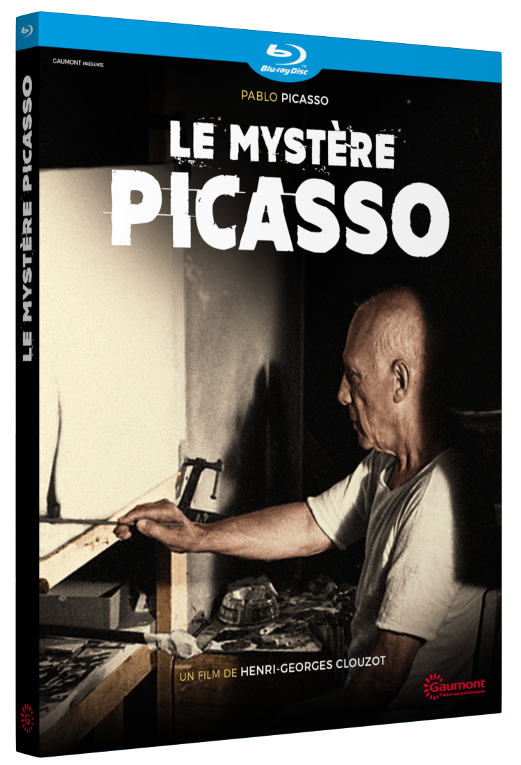MYSTERE PICASSO (LE) - BRD