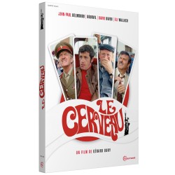 LE CERVEAU - DVD