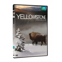 YELLOWSTONE