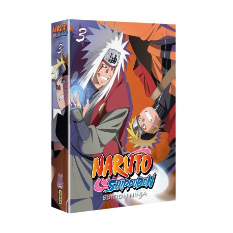 NARUTO SHIPPUDEN EDITION NINJA COFFRET 3 - 12 DVD