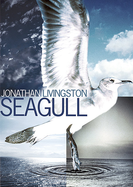 JONATHAN LIVINGSTON LE GOELAND
