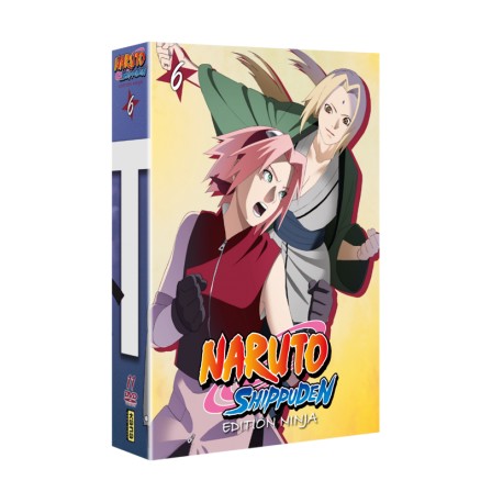 NARUTO SHIPPUDEN EDITION NINJA COFFRET 6 - 11 DVD