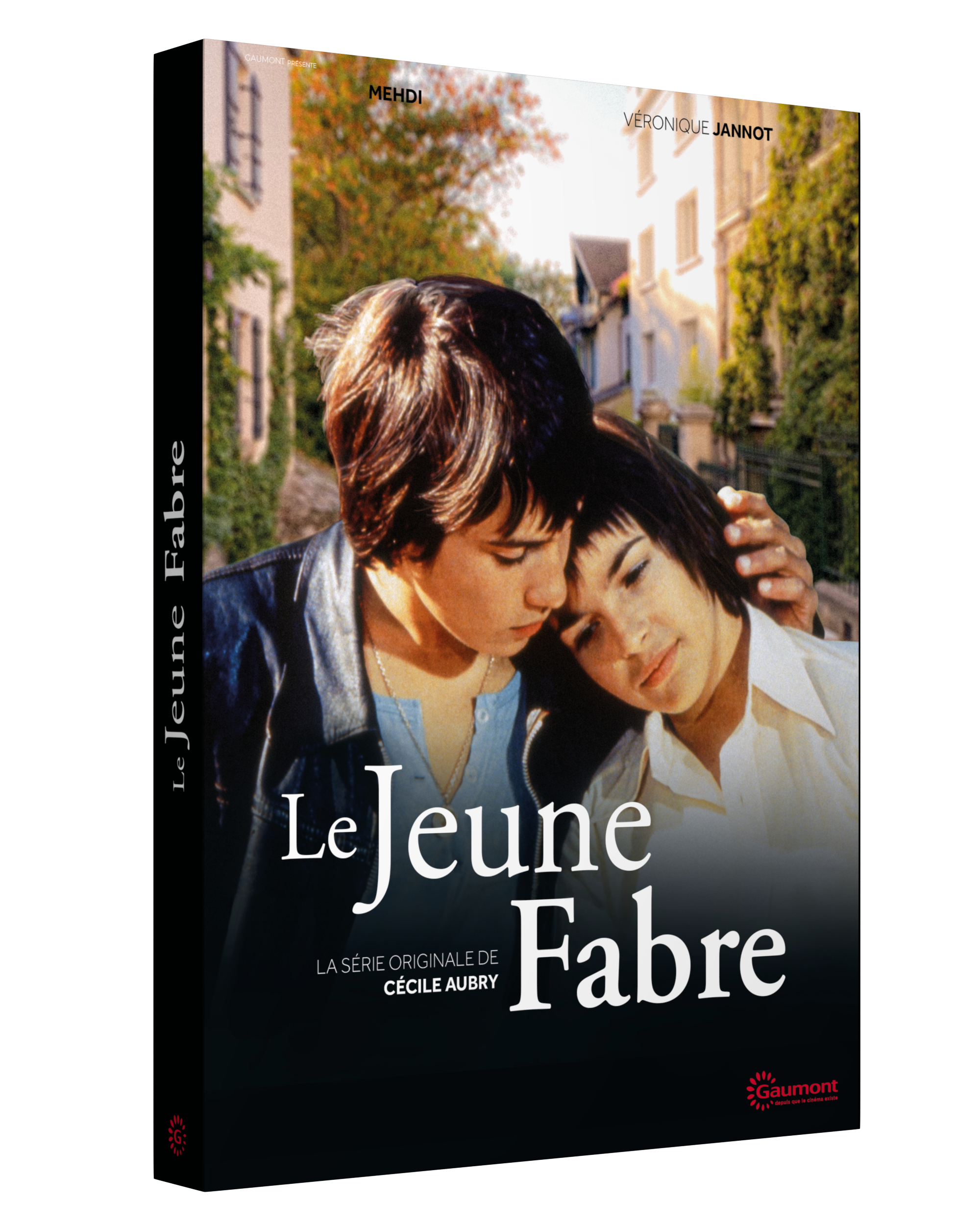 LE JEUNE FABRE - 3 DVD